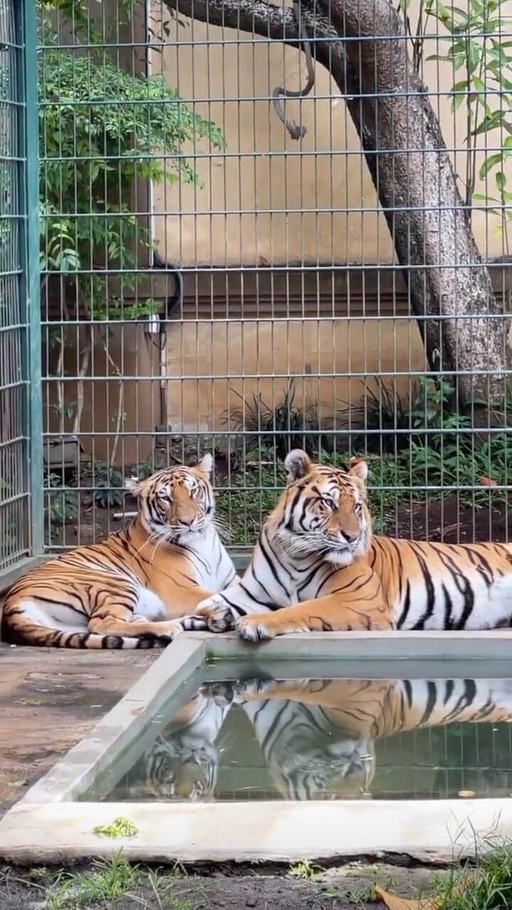Best Zoos in Abuja
