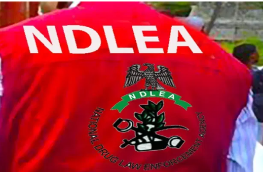 NDLEA operative shot