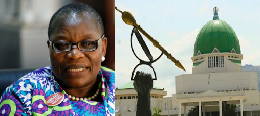 Oby Ezekwesili Blasts National Assembly